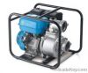 Gasoline engine pump