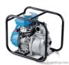 Gasoline engine pump