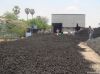 COCONUT CHARCOAL