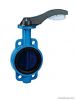 High Performance Butterfly Valve