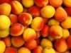 Fresh Peaches