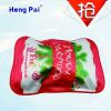 electric hot water bag