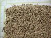 Cumin Seed