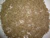 Cumin Seed