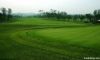 Artificial grass for g...