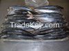 Frozen Conger Eel Whol...