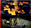 led bulb