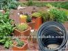 HDPE Pipe for Garden i...