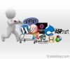Website Development Se...