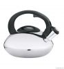 stainless steel whistling kettle