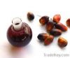 Palm Kernel Oil