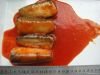 Canned Sardines in Tom...