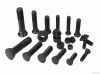 Track Bolt, Plow Bolt, Segment Bolt, Hex Bolt