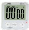 Digital Timer