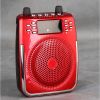 Portable amplifier sup...