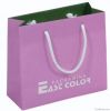 2012 Fashion gift paper shopping bag