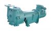 2BV 5131 Liquid Ring Vacuum Pumps