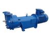 2BV 5131 Liquid Ring Vacuum Pumps