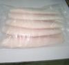 Frozen Pangasius Fillet