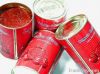 Hot Sell Canned tomato paste