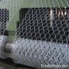 pvc hexagonal  wire mesh