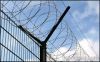 razor wire mesh