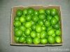 Persian Lime / Limón P...