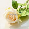 Thailand Rose Artificial Flowers Single Head Rose Home Silk Decorative Flowers Wedding Bridal Bouquets(