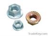 Hexagonal Flange Nut W...