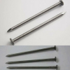 Galvanized common wire nail/Common steel galvanized building wire nails for construction, wooden cases and furniture.