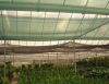 AGRO GREENHOUSE SHADE NET / AGRICULTURE SHADE NET / SUN SHADE NET / VEGETABLES SHADE NET