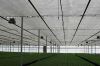 AGRO GREENHOUSE SHADE NET / AGRICULTURE SHADE NET / SUN SHADE NET / VEGETABLES SHADE NET