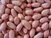 Quality Peanuts and Ke...