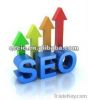 professional SEO service