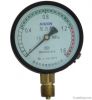 pressure gauge