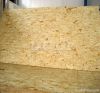 Oriented  strand board