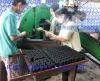 Coconut shell charcoal...