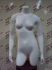 Female Half-body Mannequin