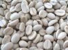  Export Coffee Beans | Arabic Coffee Bean Importer | Roasted Coffee Beans Buyer | Buy  Green Coffee Beans | Robusta  Coffee Bean Wholesaler | Coffee Bean Manufacturer | Best Coffee Bean Exporter | Low Price Coffee Beans | Best Quality Coffee Bean | Coffee