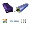 MH HPS 400W 600W 1000W dimmable digital ballast hydroponics grow