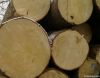 Pine Log For Sale (Abi...