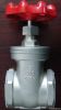 gate valve