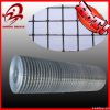 2x2 pvc coated welded wire mesh(manufacture. high quality. low price)