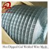 Hot dipped galvanized welded wire mesh