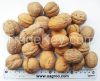 walnuts in shell , wal...