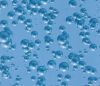 Water Transfer Printing Films Water Drop Patterns