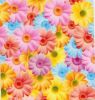 Water Transfer Printing Films Flower Patterns