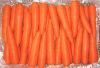 2012 Crop Fresh Carrot