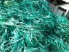 Pet Strap/Belt Scrap w...