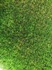 Leading Chinese Artificial Grass Artificial Turf Factory